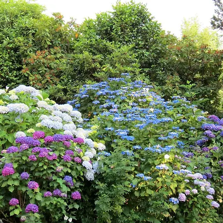 Frühstückspension Morissolina