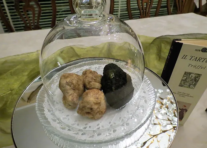 Bed and Breakfast Morissolina Trarego