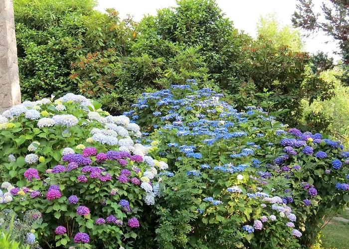 Bed and Breakfast Morissolina